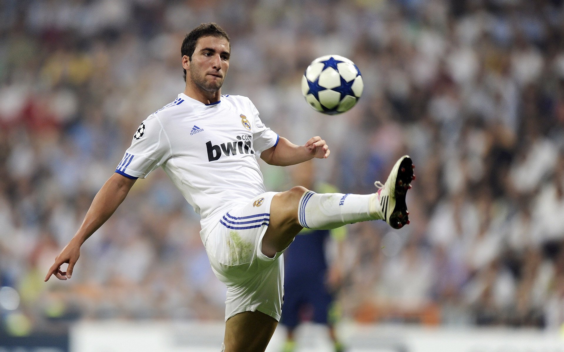 阿克，那道沉默的堤坝，抵住了最狂野的风暴